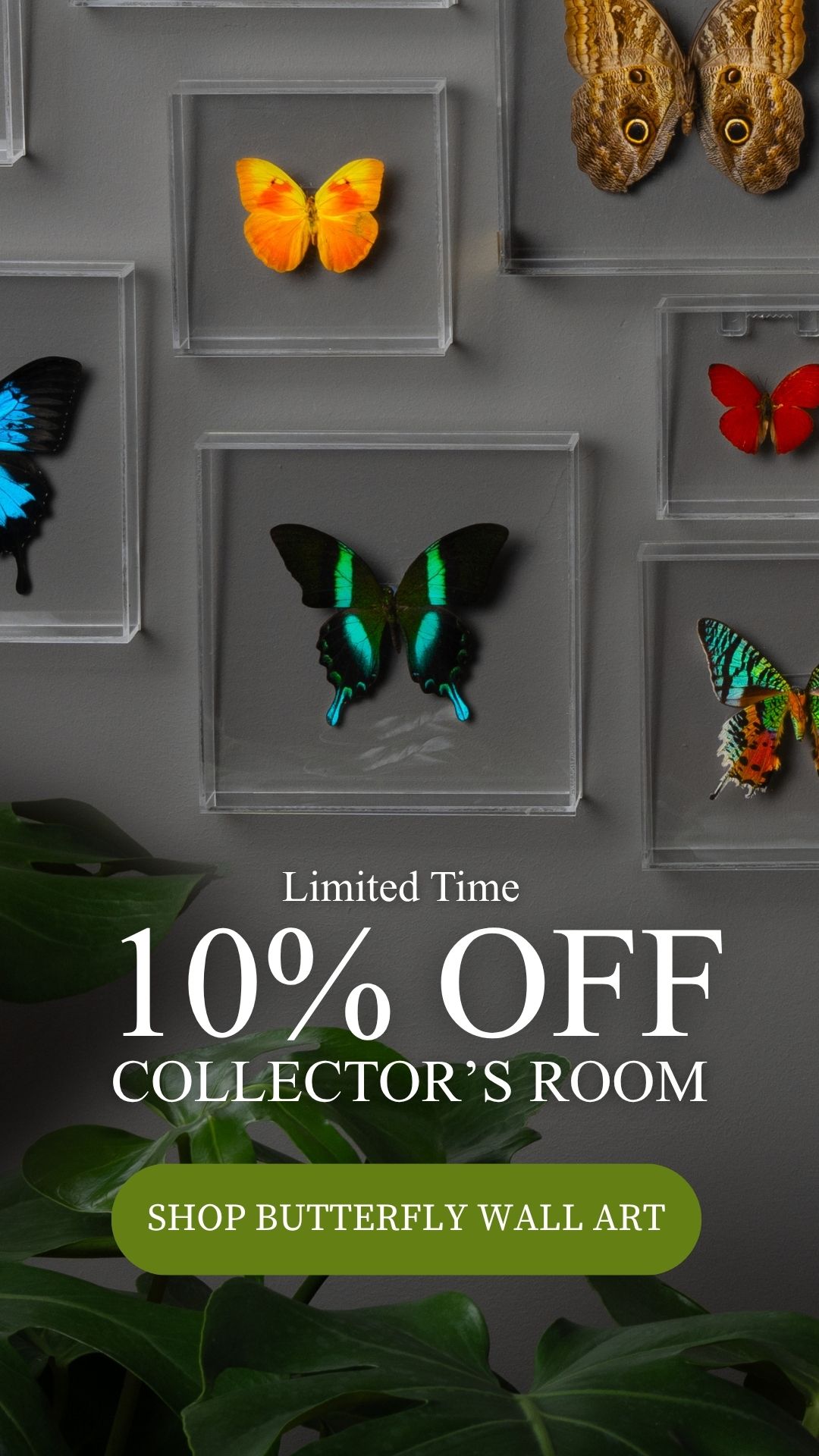 tbc meta ad