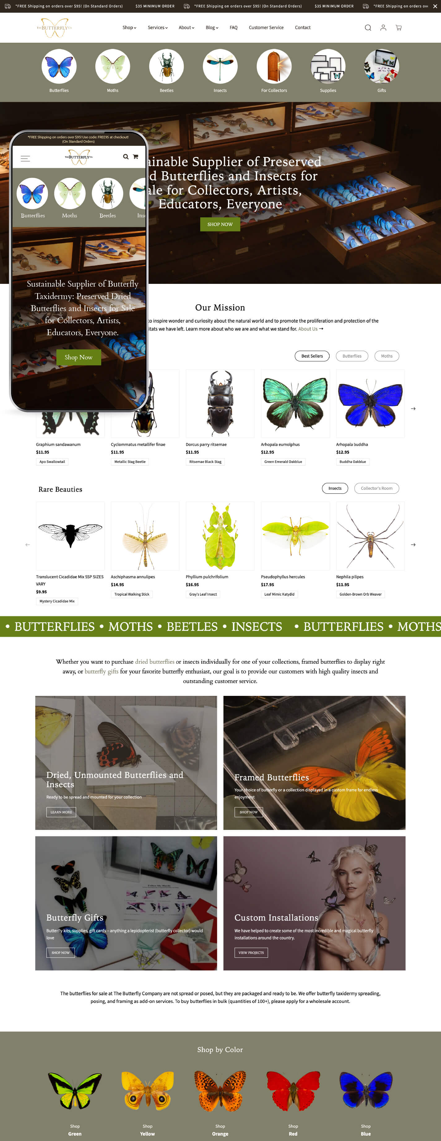 the butterfly company website design